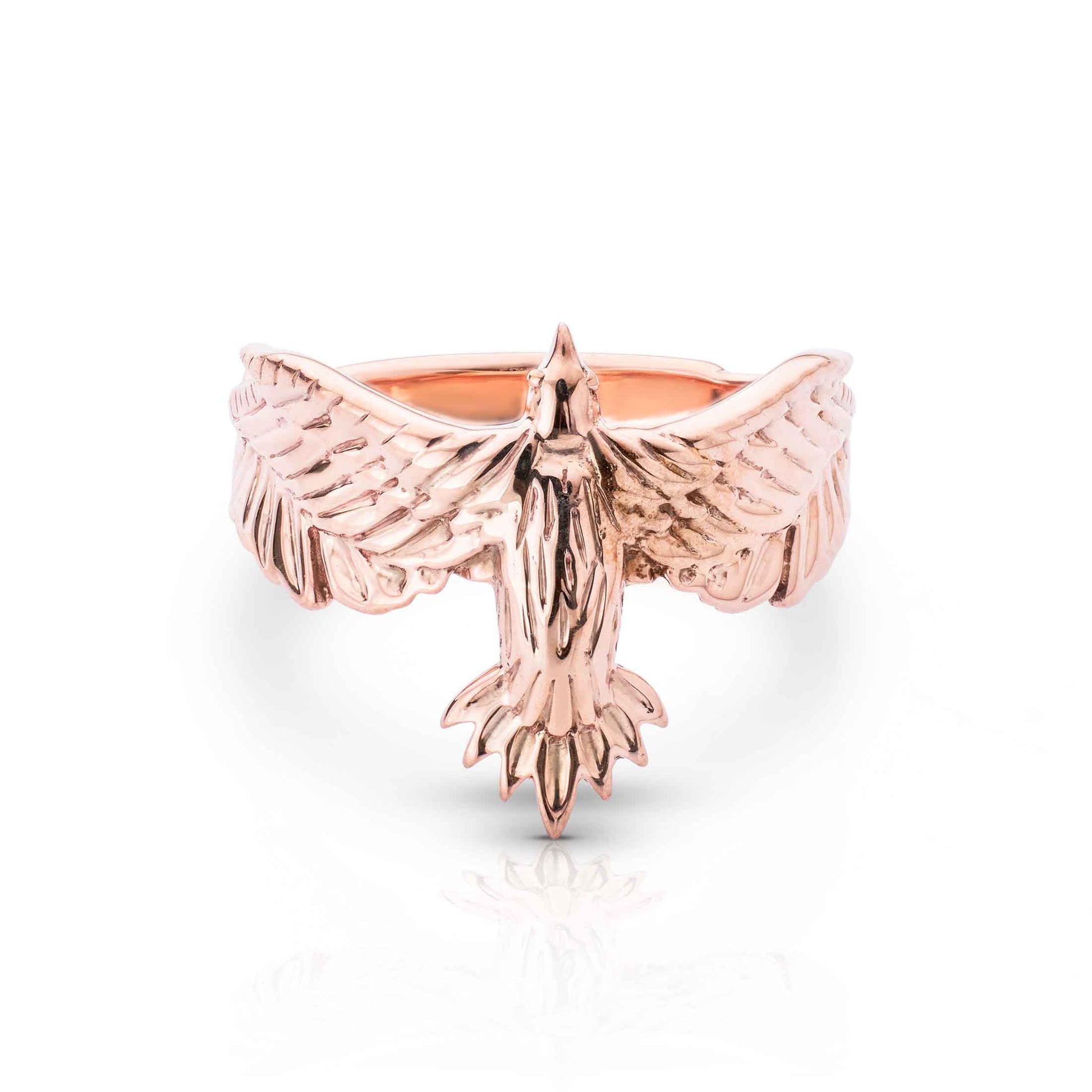 Chunky band with textured plumage and a bold, wide-wing silhouette.